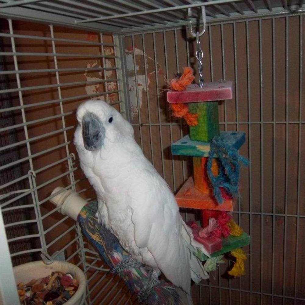 Meet your Posher, Leticia